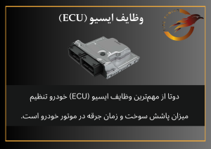 وظایف ایسیو